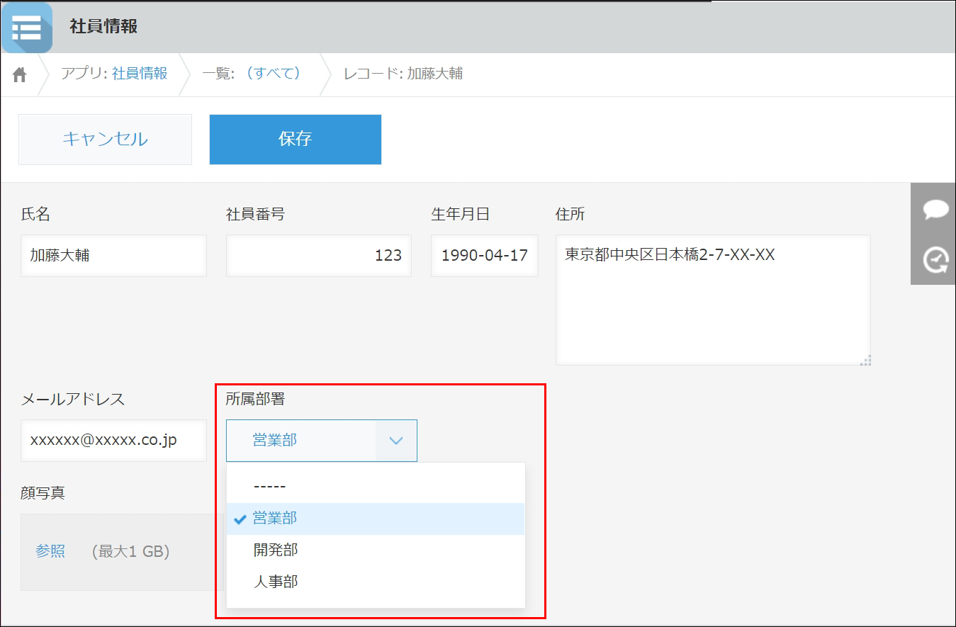 スクリーンショット：完成した［レコードの詳細］画面