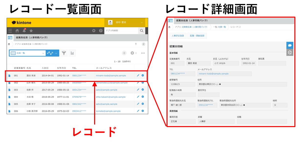 スクリーンショット:レコード一覧画面とレコード詳細画面を表示している